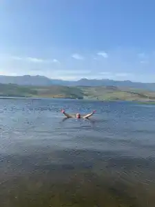 АлБа - 43