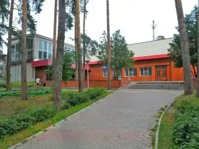 Сосны - 39
