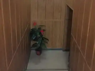Нептун - 15