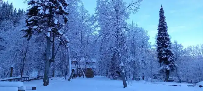 Хижина Шамана - 12