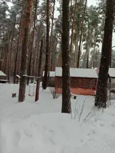 Смольный-Корт - 49