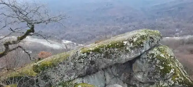 Форпост - 25