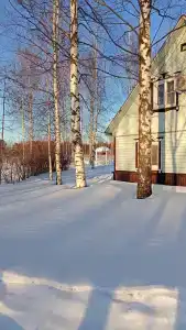 Факел - 8
