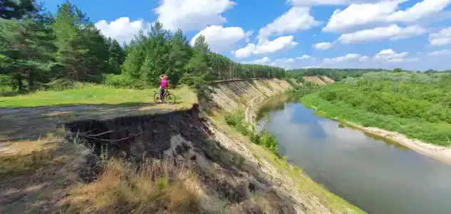 Простоквашино - 50