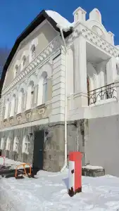 Ирис - 23