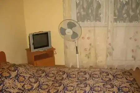 Эльвира - 12