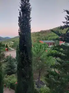 Светоч - 50
