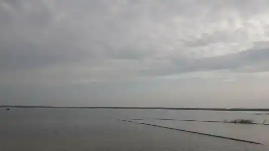 ЧТЗ - 31