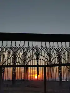 Фридом Веселовка - 29