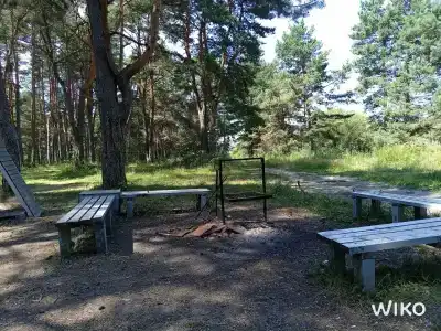 Белые бугры - 54