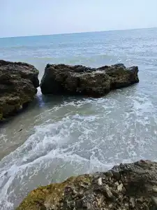 Морской бриз - 19