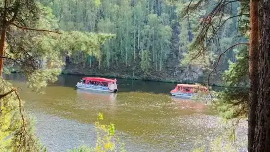 Сосновый бор - 7