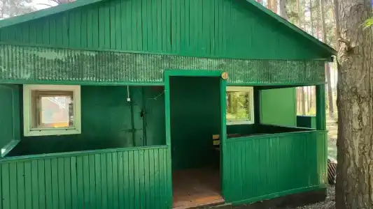 Сосновый бор - 71