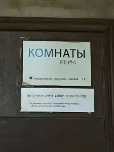Пихта - 10