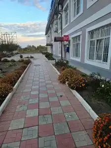 Элита - 4