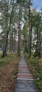Аврора - 94