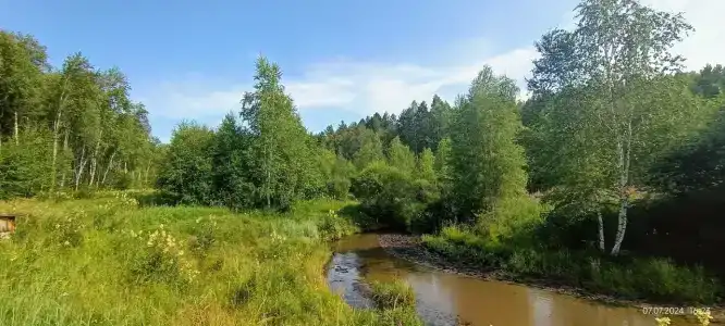 В гостях у Павловича - 40