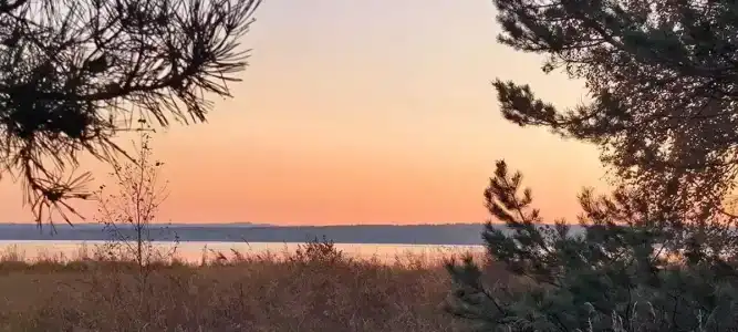 Политехник - 7
