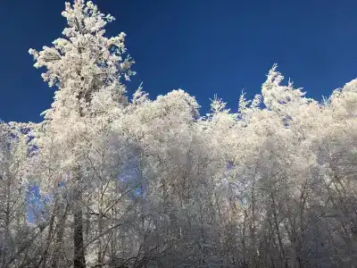 Жемчужина Зилима - 7