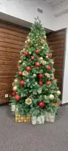 Голицын Клуб - 95