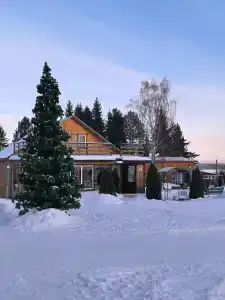 Сосновый - 6
