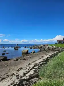 Кедр Грасс Белое Море - 97