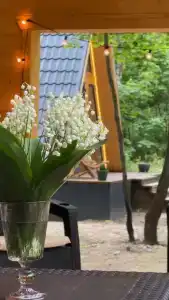 Медвежий Угол - 16