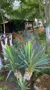 Белый Берег - 29