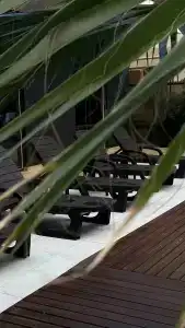 Субтропикал Сочи - 10