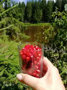 Прудок - 45