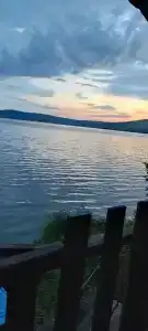 Лесные эльфы - 37