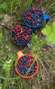 Лунный свет - 82