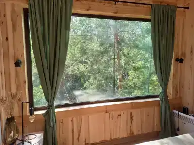 Магия леса - 46