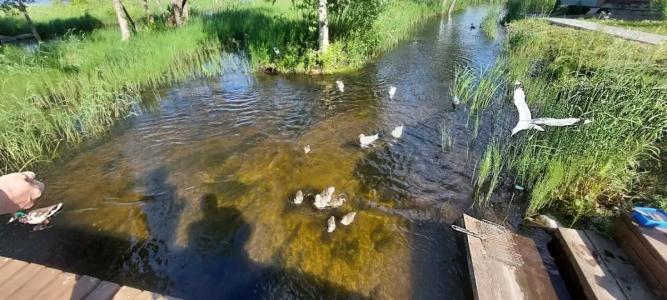 Загородный - 16