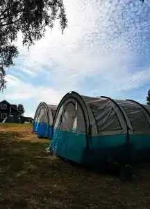 Зелёная роща - 55