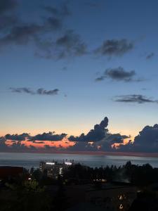 Пальмира - 95