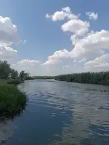 Давидашен - 38