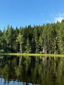 Морошка Village - 30