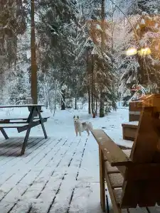 Глэмпинг Shanti Home - 40