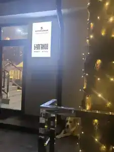 Булгаков - 73