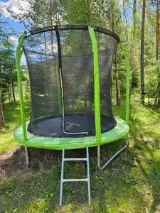 Лесная сказка - 79