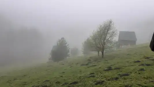 VиталиЯ - 6