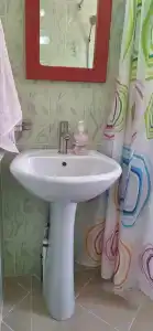 Тюльпан - 22