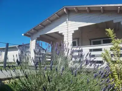 Веселовка Парк - 66