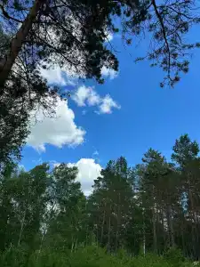 Михайловские озера - 11