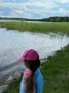 Гостевой дом у Янины - 40