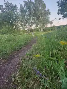 Угра - 8