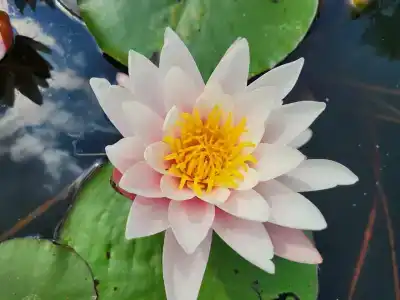 Березинская Дубрава - 58