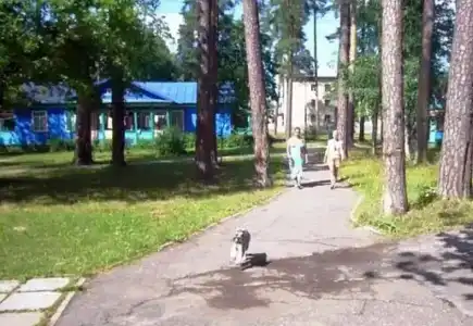Белое Озеро - 38