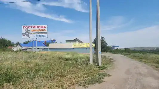 Демидовъ - 29